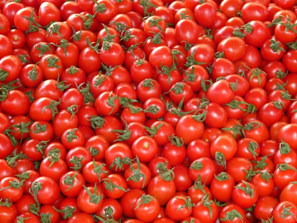 铺满的番茄