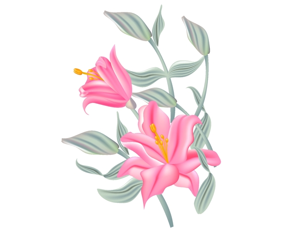 手绘清新粉色花朵元素