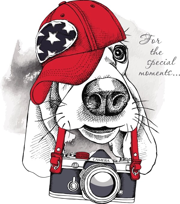 狗和照相机卡通形象