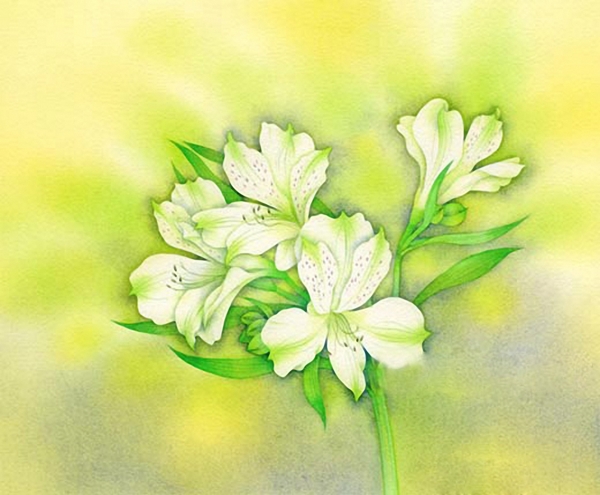 位图写意花卉植物花朵免费素材