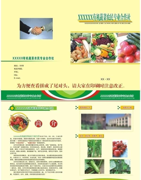 有机蔬菜农民合作社画册宣传图片