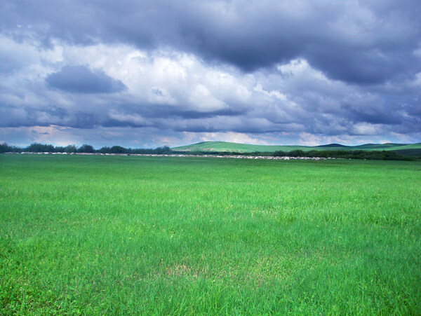 霍林河草原图片