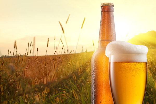 草地与啤酒图片