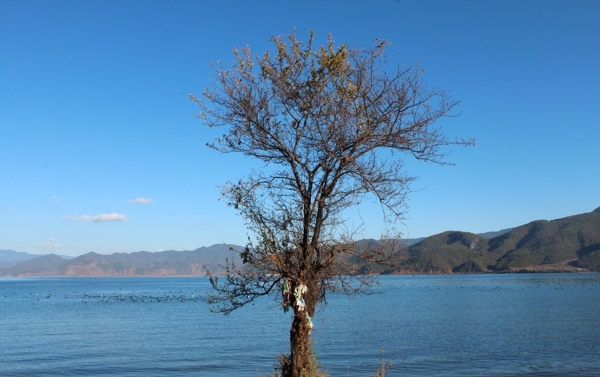 自然风景图片