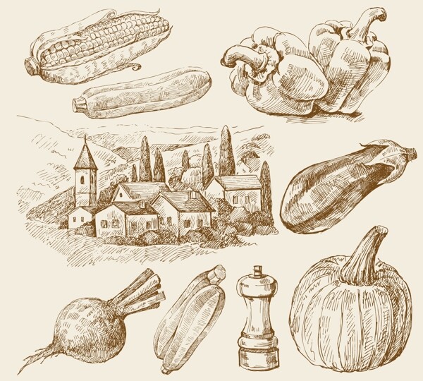 素描乡村的蔬菜矢量图形下载