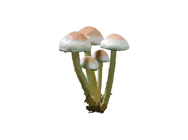 一簇蘑菇矢量图案