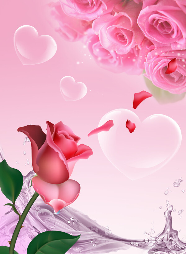 粉色玫瑰花花朵移门装饰画