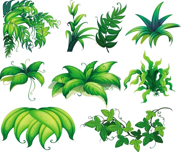 不同植物的插图