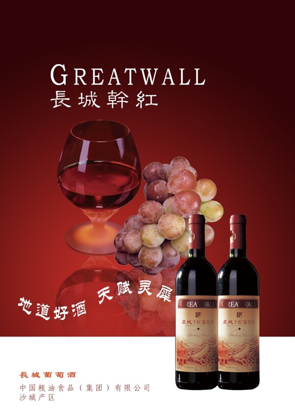 红葡萄酒海报图片