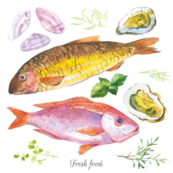 水彩绘海洋鱼类插画