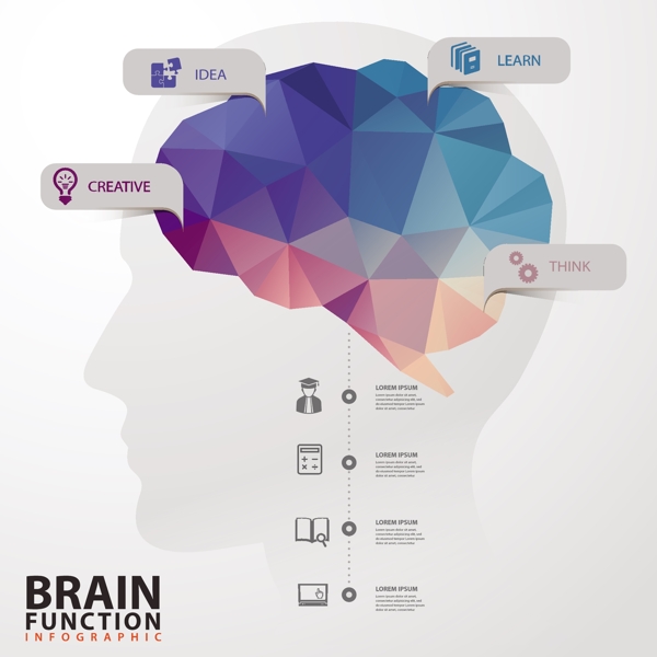 创意大脑功能信息图矢量素材
