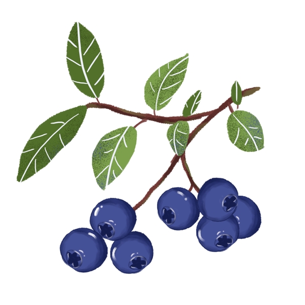 手绘水果蓝莓PNG素材