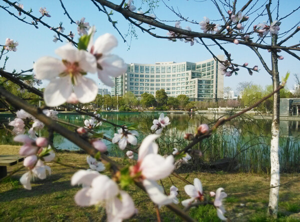 杭师图书馆