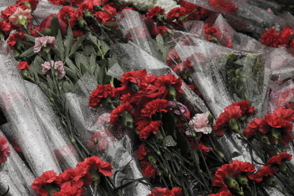 高清红色康乃馨花束图片