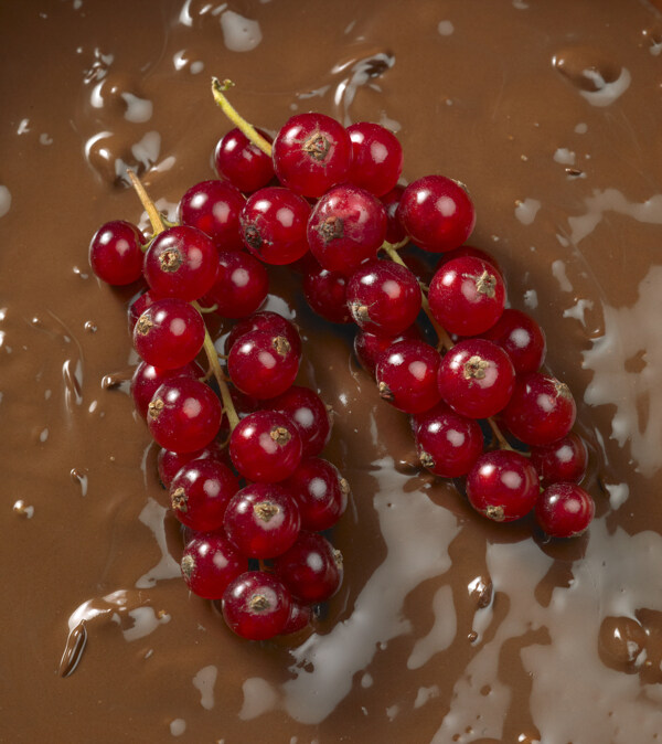 红色果子与巧克力汁图片