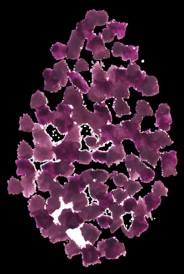 斑点紫花卡通透明素材