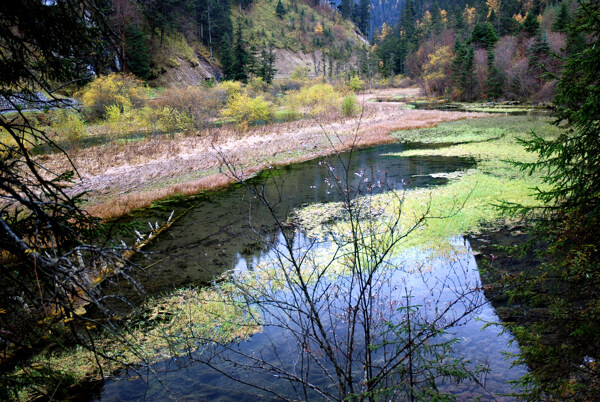 九寨沟山水图片