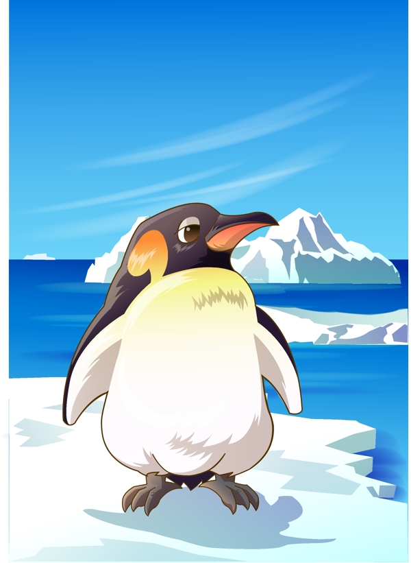 可爱动物绿色南极企鹅图片