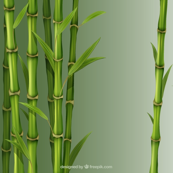 竹芦苇