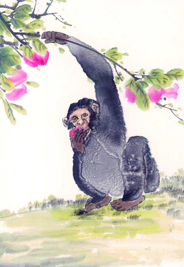 水墨猴子图片