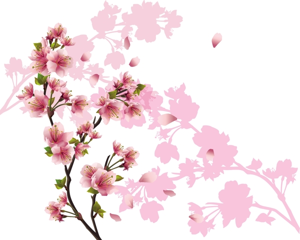 粉红色桃花和树枝