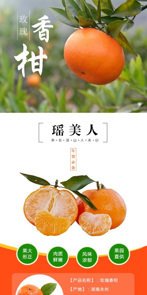柑橘玫瑰香柑详情页