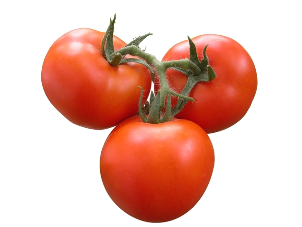 西红柿番茄免抠图图片
