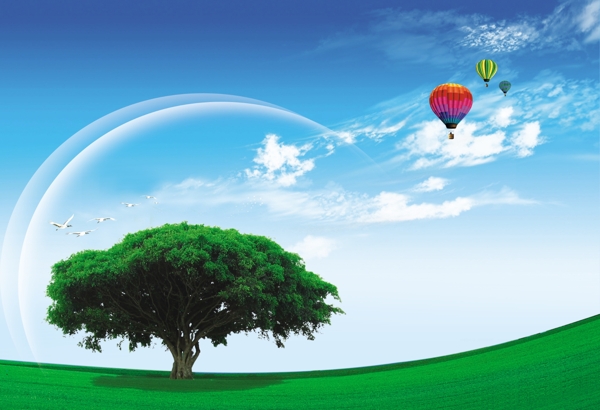 大树蓝天绿地树绿树参天大树蓝天绿地天空白云郊野风景气球热气球飞鸟鸟弧形画册设计广告