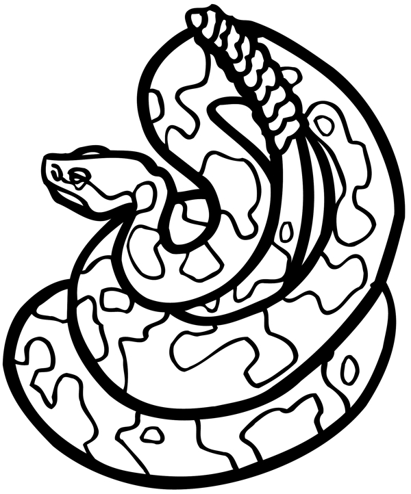 蛇爬行动物矢量素材eps格式0025