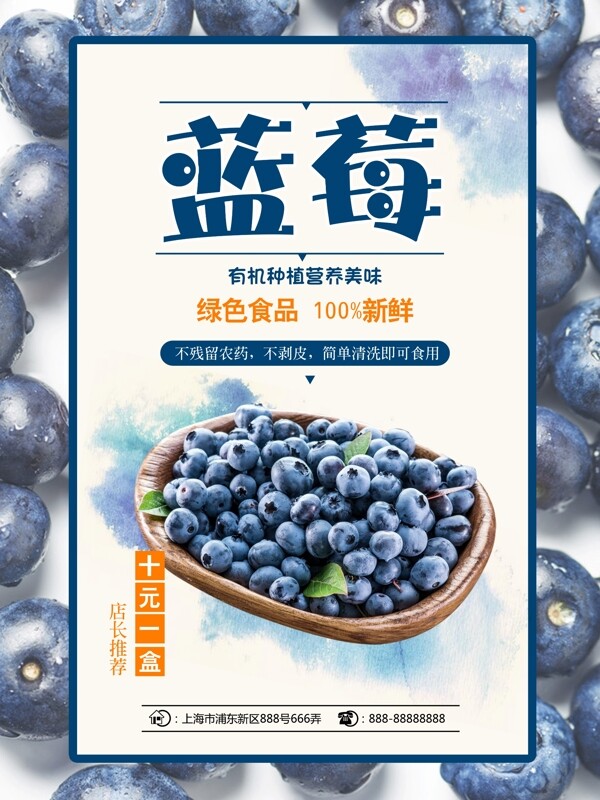 蓝莓新鲜上市海报