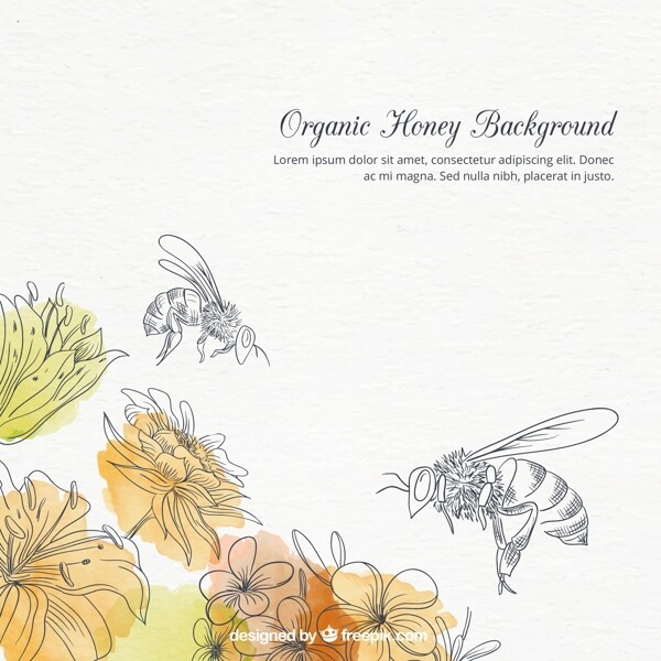 手绘水彩花和蜜蜂背景