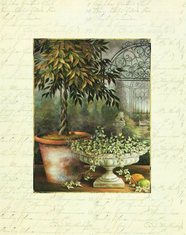 手绘盆景植物素材图片