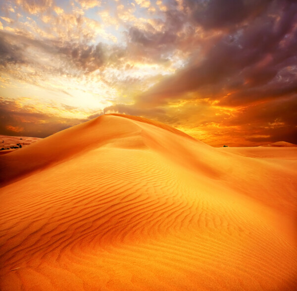 美丽沙漠黄昏风景图片