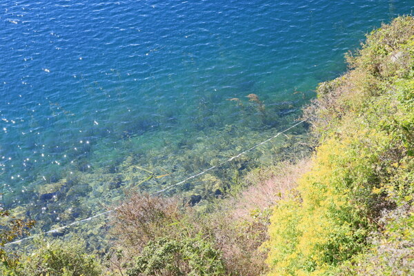 泸沽湖湖水