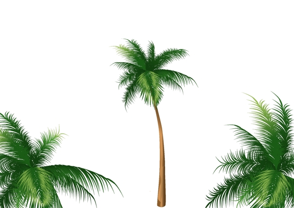 椰子树矢量图图片