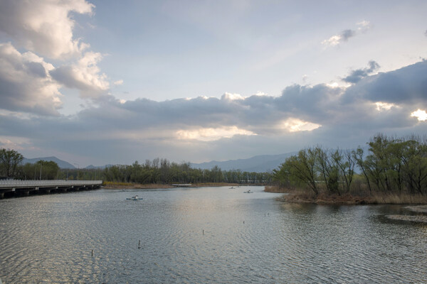 北京稻香湖春天风景