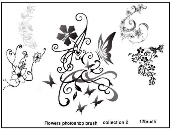 花朵花边花纹ps装饰笔刷合集图片