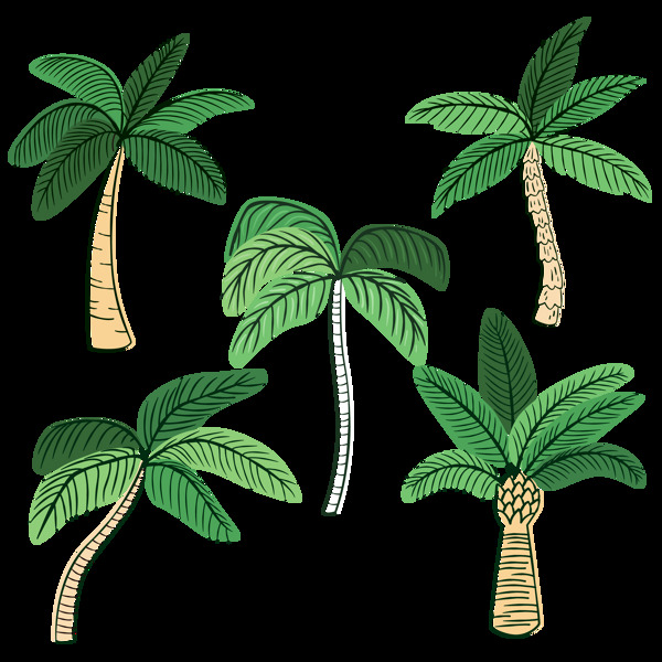 绿色椰子树棕榈树免抠png透明图层素材