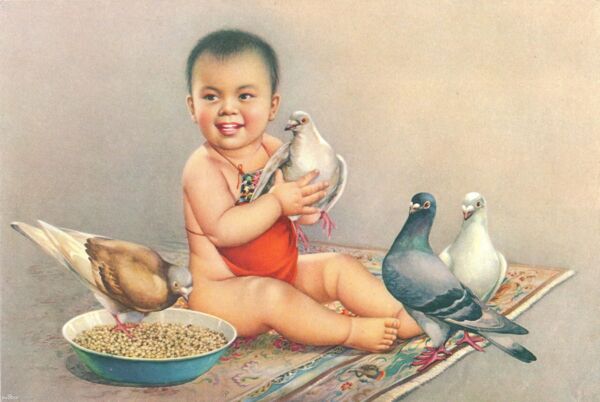 孩子爱鸽子