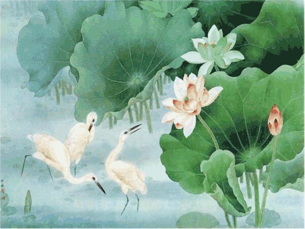 中国风的白鹤与荷花百分之百内清晰可用图片