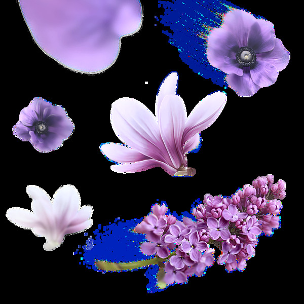 紫色元素花卉透明素材