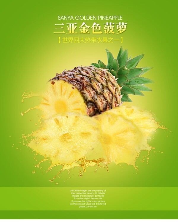 菠萝图片