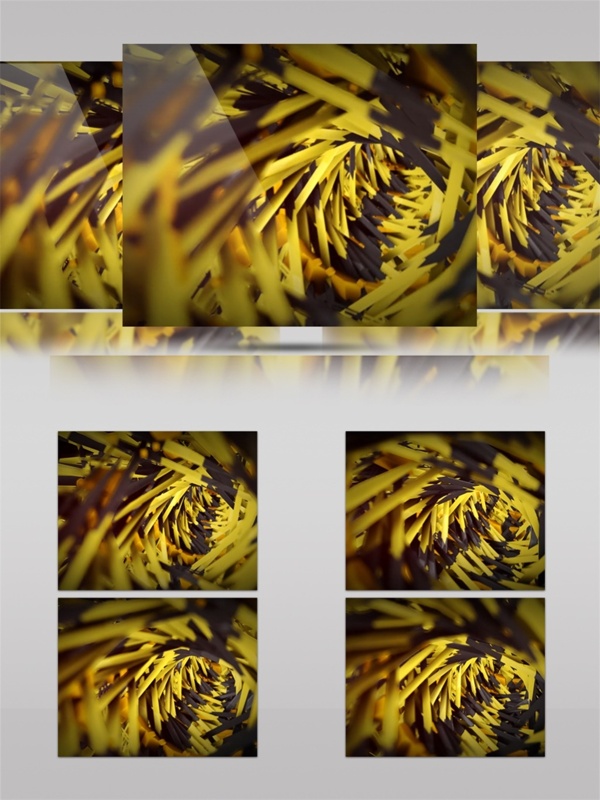 金色螺旋花叶动态视频素材