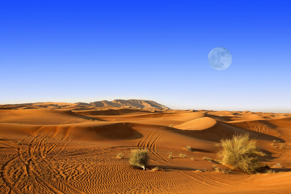 蓝天下的沙漠