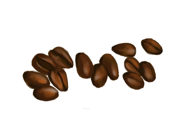 手绘咖啡豆的插画