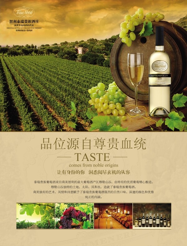 贵族白葡萄酒海报