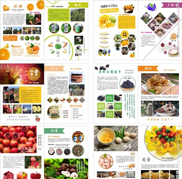 水果农产品册子