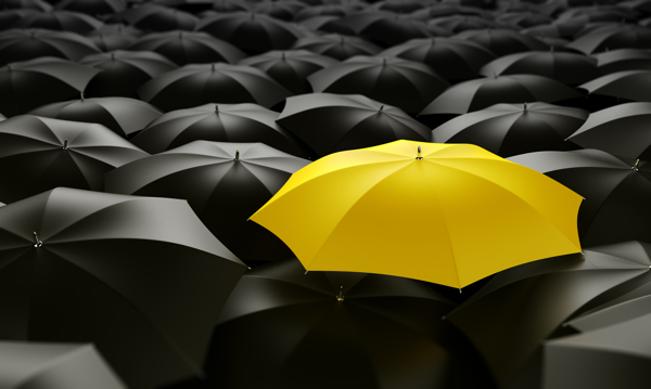黑色与黄色雨伞图片