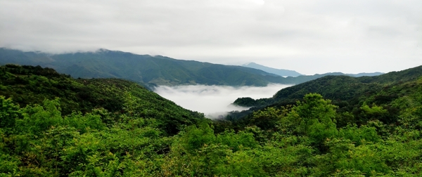 浙江天台山图片