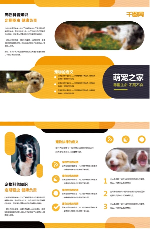 萌宠之家三折页可爱猫狗宣传手册